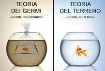 Osteopatia e depurazione 39
