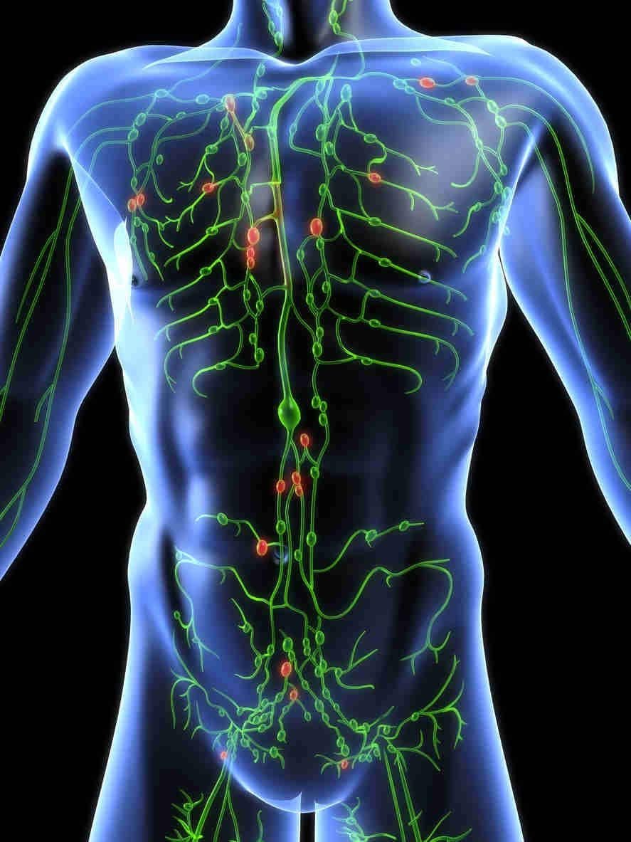 Osteopatia e depurazione 41
