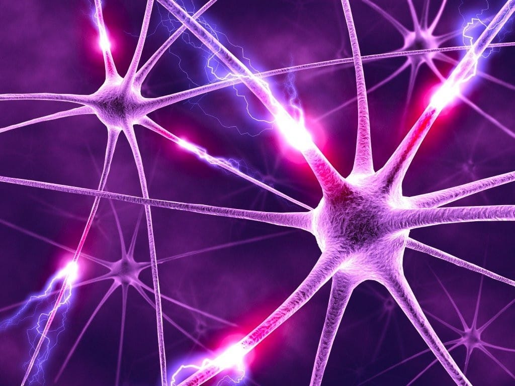 Cosa significa decodificare un sintomo? 28