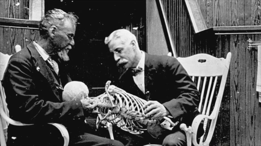 Perché puoi avvalerti dell’Osteopatia evoluta? 9