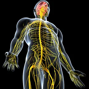 Perché puoi avvalerti dell’Osteopatia evoluta? 13