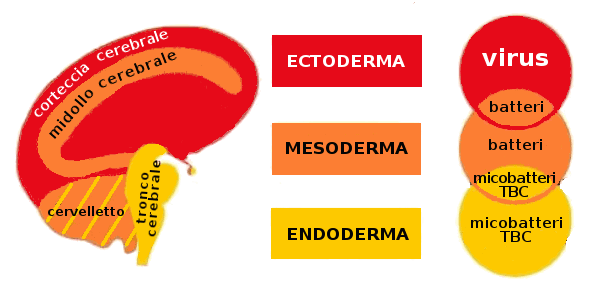 Cosa significa decodificare un sintomo? 25